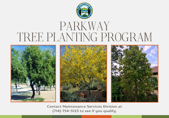 Parkway Tree Planting